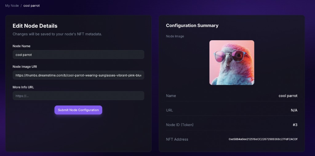 Edit Node Details form beside Configuration Summary with NFT preview and token details